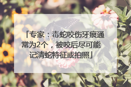 专家：毒蛇咬伤牙痕通常为2个，被咬后尽可能记清蛇特征或拍照