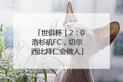 世俱杯｜2：0洛杉矶FC，切尔西比拜仁会做人