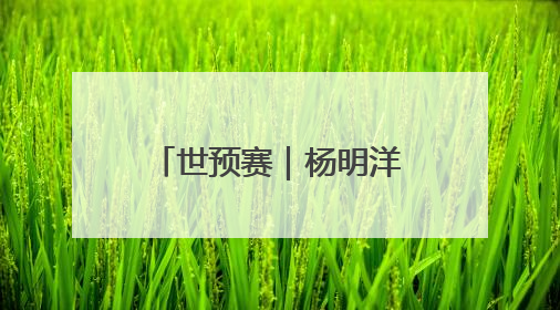世预赛｜杨明洋完成会籍转换将入选国足，伊万想通了要打双后腰？