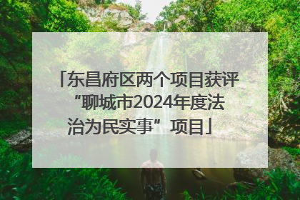 东昌府区两个项目获评“聊城市2024年度法治为民实事”项目