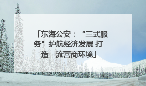 东海公安：“三式服务”护航经济发展 打造一流营商环境