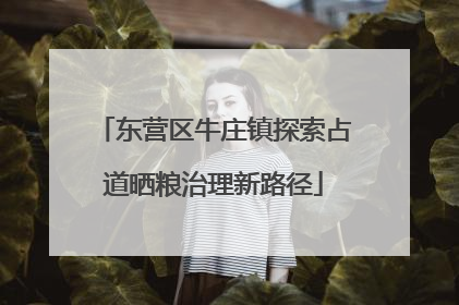 东营区牛庄镇探索占道晒粮治理新路径