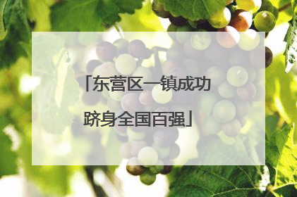 东营区一镇成功跻身全国百强