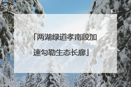 两湖绿道孝南段加速勾勒生态长廊
