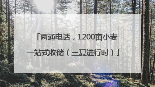 两通电话，1200亩小麦一站式收储（三夏进行时）