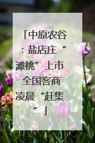 中原农谷：盐店庄“滩桃”上市 全国客商凌晨“赶集”