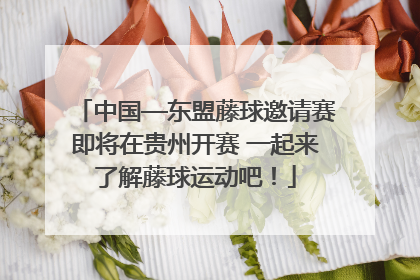 中国—东盟藤球邀请赛即将在贵州开赛 一起来了解藤球运动吧！