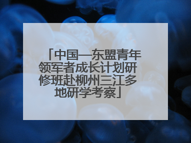 中国—东盟青年领军者成长计划研修班赴柳州三江多地研学考察