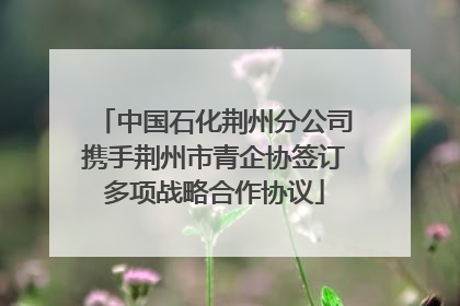 中国石化荆州分公司携手荆州市青企协签订多项战略合作协议
