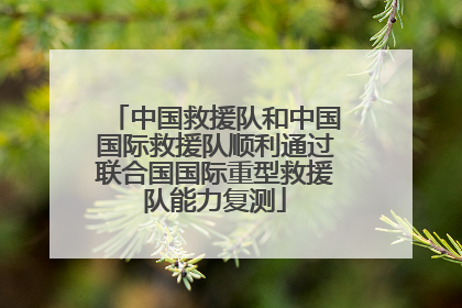 中国救援队和中国国际救援队顺利通过联合国国际重型救援队能力复测