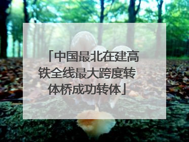 中国最北在建高铁全线最大跨度转体桥成功转体