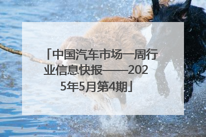 中国汽车市场一周行业信息快报——2025年5月第4期