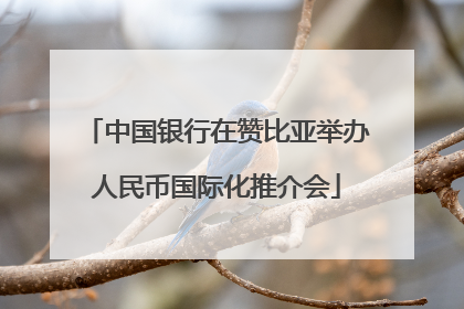 中国银行在赞比亚举办人民币国际化推介会