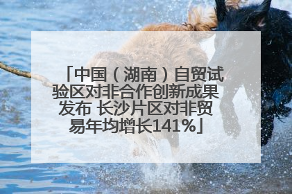 中国（湖南）自贸试验区对非合作创新成果发布 长沙片区对非贸易年均增长141%