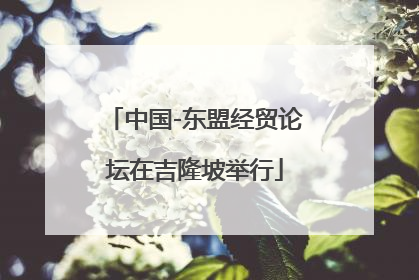 中国-东盟经贸论坛在吉隆坡举行