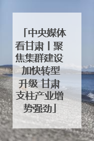 中央媒体看甘肃丨聚焦集群建设 加快转型升级 甘肃支柱产业增势强劲