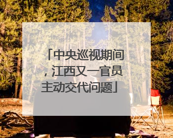 中央巡视期间，江西又一官员主动交代问题