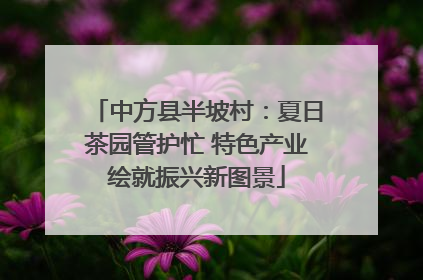 中方县半坡村：夏日茶园管护忙 特色产业绘就振兴新图景