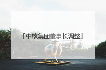 中核集团董事长调整