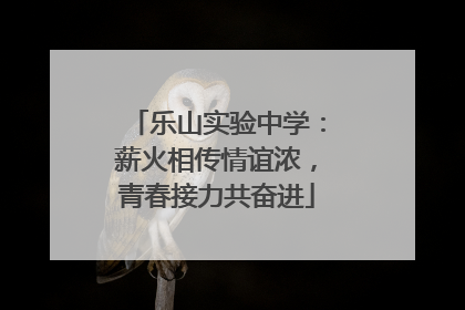 乐山实验中学：薪火相传情谊浓，青春接力共奋进