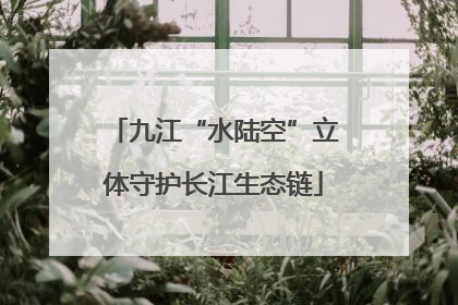 九江“水陆空”立体守护长江生态链