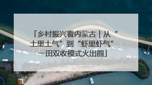 乡村振兴看内蒙古｜从“土里土气”到“虾里虾气” 一田双收模式火出圈