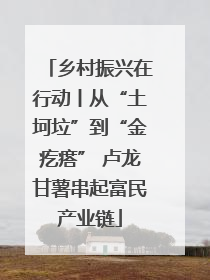 乡村振兴在行动丨从“土坷垃”到“金疙瘩” 卢龙甘薯串起富民产业链