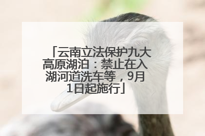 云南立法保护九大高原湖泊：禁止在入湖河道洗车等，9月1日起施行