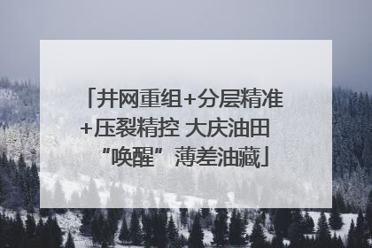 井网重组+分层精准+压裂精控 大庆油田“唤醒”薄差油藏
