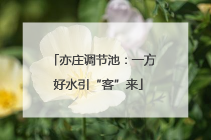 亦庄调节池：一方好水引“客”来
