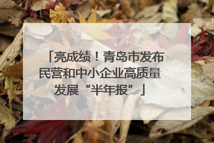 亮成绩！青岛市发布民营和中小企业高质量发展“半年报”
