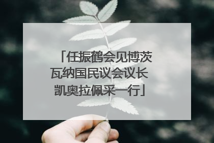 任振鹤会见博茨瓦纳国民议会议长凯奥拉佩采一行