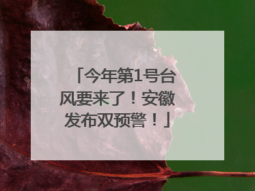 今年第1号台风要来了！安徽发布双预警！