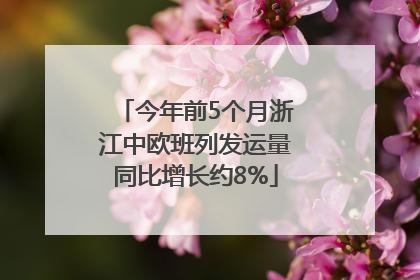 今年前5个月浙江中欧班列发运量同比增长约8%