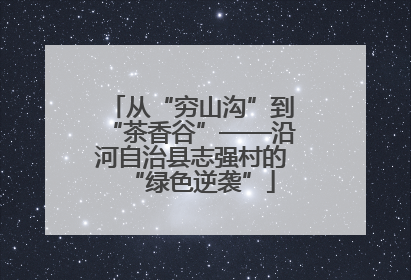从“穷山沟”到“茶香谷”——沿河自治县志强村的“绿色逆袭”