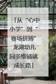 从“心中小学”到“赛场拼搏” 龙湖幼儿园多维铺就成长路