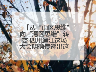 从“山区思维”向“湾区思维”转变 四川通江这场大会明确传递出这些信号