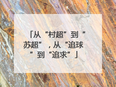 从“村超”到“苏超”，从“追球”到“追求”