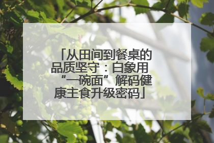 从田间到餐桌的品质坚守：白象用“一碗面”解码健康主食升级密码