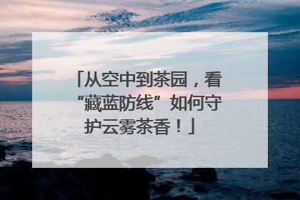 从空中到茶园，看“藏蓝防线”如何守护云雾茶香！