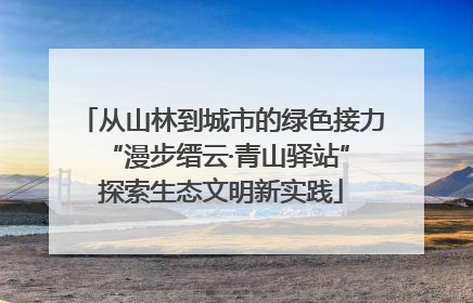 从山林到城市的绿色接力 “漫步缙云·青山驿站”探索生态文明新实践