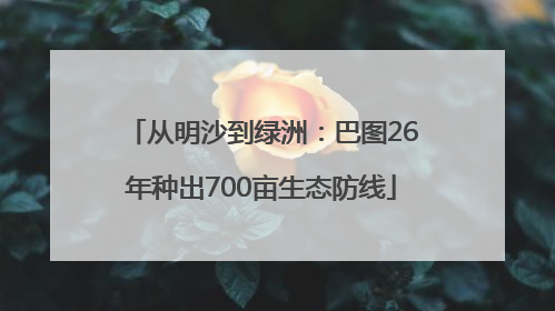 从明沙到绿洲：巴图26年种出700亩生态防线