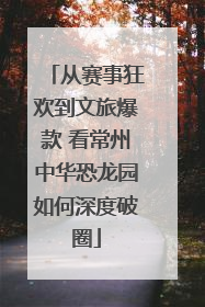 从赛事狂欢到文旅爆款 看常州中华恐龙园如何深度破圈