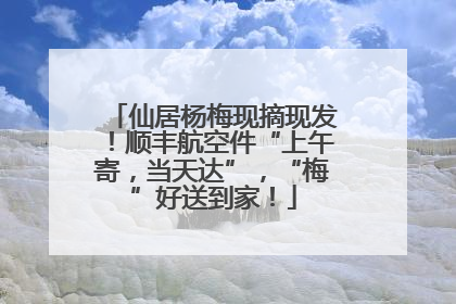 仙居杨梅现摘现发！顺丰航空件“上午寄，当天达”，“梅”好送到家！