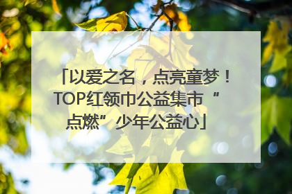 以爱之名，点亮童梦！TOP红领巾公益集市“点燃”少年公益心