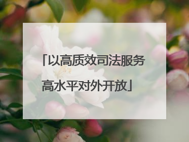 以高质效司法服务高水平对外开放