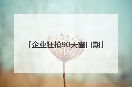 企业狂抢90天窗口期