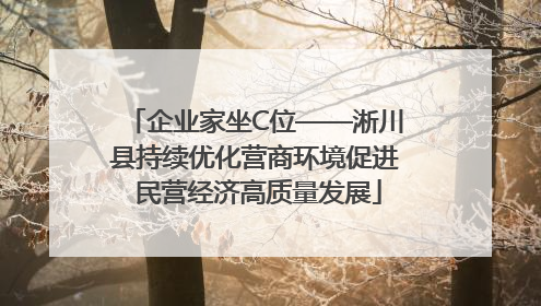企业家坐C位——淅川县持续优化营商环境促进 民营经济高质量发展