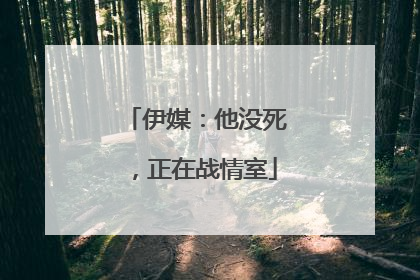 伊媒：他没死，正在战情室