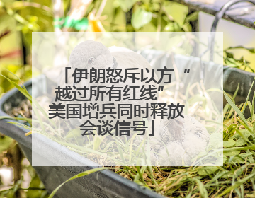 伊朗怒斥以方“越过所有红线” 美国增兵同时释放会谈信号